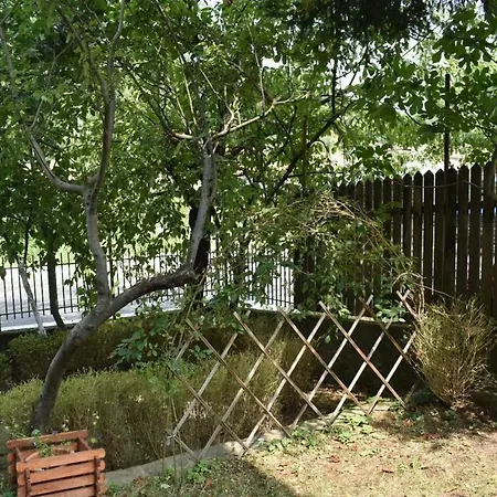 Orpheus Hause Guest house