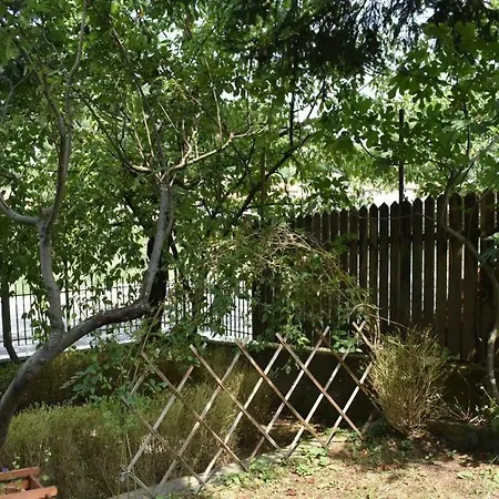 Orpheus Hause Nedelino